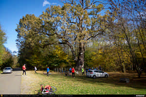 Trasee cu bicicleta MTB XC - Traseu SSP Poiana Campina - Campina - Banesti - Urleta - Mislea - Scorteni - Bordeni - Cocorastii-Mislii - Tiparesti - Dumbravesti - Zamfira - Plopeni - Gageni - Paulesti - Ploiesti de Andrei Vocurek