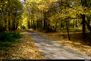 Trasee cu bicicleta MTB XC - Traseu SSP Poiana Campina - Campina - Banesti - Urleta - Mislea - Scorteni - Bordeni - Cocorastii-Mislii - Tiparesti - Dumbravesti - Zamfira - Plopeni - Gageni - Paulesti - Ploiesti de Andrei Vocurek