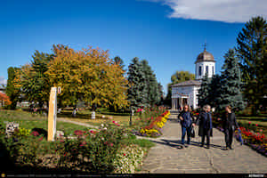 Trasee cu bicicleta MTB XC - Traseu SSP Poiana Campina - Campina - Banesti - Urleta - Mislea - Scorteni - Bordeni - Cocorastii-Mislii - Tiparesti - Dumbravesti - Zamfira - Plopeni - Gageni - Paulesti - Ploiesti de Andrei Vocurek