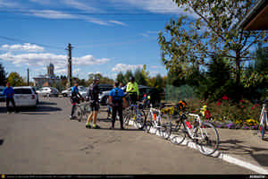 Trasee cu bicicleta MTB XC - Traseu SSP Poiana Campina - Campina - Banesti - Urleta - Mislea - Scorteni - Bordeni - Cocorastii-Mislii - Tiparesti - Dumbravesti - Zamfira - Plopeni - Gageni - Paulesti - Ploiesti de Andrei Vocurek