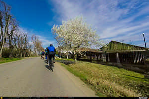Trasee cu bicicleta MTB XC - Traseu SSP Bucuresti - Chiajna - Joita - Cosoba - Romanesti - Potlogi - Ulmi - Bolintin-Deal - Tantava - Darvari - Clinceni - Magurele - Bucuresti (Palatul Brancovenesc de la Potlogi) de Andrei Vocurek