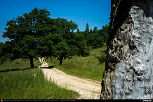 Trasee cu bicicleta MTB XC - Traseu SSP Predeal - Rasnov - Poiana Brasov - Brasov - Sanpetru - Brasov - Sacele de Andrei Vocurek