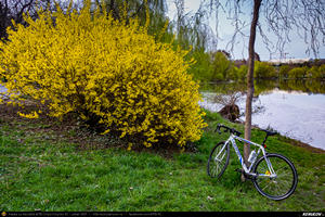 Trasee cu bicicleta MTB XC - Traseu SSP Luica - Radovanu - Hotarele - Izvoarele - Mironesti - Falastoaca - Dobreni - Vidra - Copaceni - 1 Decembrie - Adunatii-Copaceni - Alunisu - Bucuresti de Andrei Vocurek
