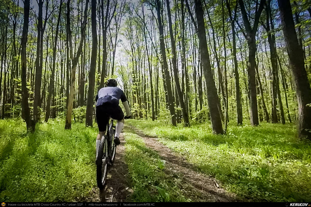 Traseu MTB Brazi - Popesti - Stejaru - Piatra - Cocorastii Colt - Coltu de Jos - Varnita - Sirna - Tinosu - Crivina - Poienarii Apostoli - Poienarii Burchii - Carbunari - Podu Valeni - Burias - Balteni - Padurea Scrovistea - Peris - KERUCOV .ro &copy; 2007 - 2026<br />&nbsp;#traseecubicicleta #mtb #ssp&nbsp;