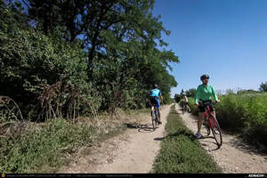 Trasee cu bicicleta MTB XC - Traseu SSP Bucuresti - Magurele - Clinceni - Domnesti - Darvari - Ciorogarla - Joita - Cosoba - Bacu - Ciorogarla - Darvari - Domnesti - Clinceni - Magurele - Alunisu - Darasti-Ilfov - 1 Decembrie - Adunatii-Copaceni - 1 Decembrie - Alunisu - Bucuresti de Andrei Vocurek