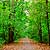 Traseu MTB Bucuresti - Baneasa - Padurea Baneasa - KERUCOV .ro © 2007 - 2025 || #traseecubicicleta #mtb #ssp