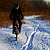 Traseu MTB Bucuresti - Padurea Cornetu - Lacul Mihailesti - Domnesti - KERUCOV .ro © 2007 - 2025 || #traseecubicicleta #mtb #ssp