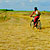 Traseu MTB Vama Veche - Shabla - Tyulenovo - Shablenska Tuzla - KERUCOV .ro © 2007 - 2025 || #traseecubicicleta #mtb #ssp