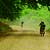 Traseu MTB Sighisoara - Prod - Copsa Mare - Biertan - KERUCOV .ro © 2007 - 2025 || #traseecubicicleta #mtb #ssp