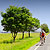 Traseu MTB Predeal - Prejmer - Harman - Sanpetru - Brasov - KERUCOV .ro © 2007 - 2025 || #traseecubicicleta #mtb #ssp