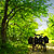 Traseu MTB Rusenski Lom si Basarbovo - Ruse - Giurgiu - Bucuresti - KERUCOV .ro © 2007 - 2025 || #traseecubicicleta #mtb #ssp