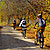 Traseu MTB Breaza - Adunati - Costisata - Bezdead - Pucioasa - Targoviste - KERUCOV .ro © 2007 - 2025 || #traseecubicicleta #mtb #ssp