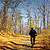 Traseu MTB Ulmeni - Sarata-Monteoru - Leiculesti - Niscov - Vernesti - Merei - KERUCOV .ro © 2007 - 2025 || #traseecubicicleta #mtb #ssp