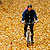 Traseu MTB Fieni - Runcu - Raul Alb - Sipot - Vulcana Bai - Sotanga - Targoviste (Schitul Bunea si Padurea Vulcana) - KERUCOV .ro © 2007 - 2025 || #traseecubicicleta #mtb #ssp