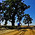 Traseu SSP Bucuresti - Stefanesti - Afumati - Sindrilita - Hagiesti - Mariuta - Belciugatele - Branesti - Bucuresti * - KERUCOV .ro © 2007 - 2025 || #traseecubicicleta #mtb #ssp